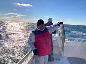 Striped Bass fishing Chesapeake Bay